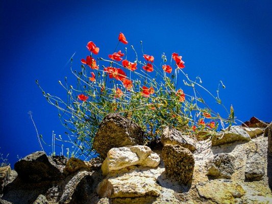 dioklecianopol-dioklecianopolis-gallery-12