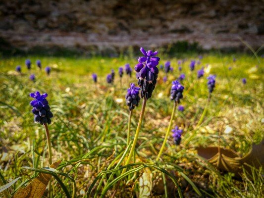 dioklecianopol-dioklecianopolis-gallery-12