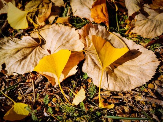 park-orfeev-dol-gallery-14