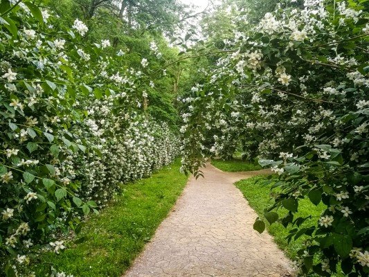 park-orfeev-dol-gallery-14