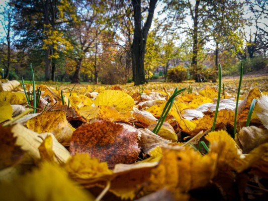 park-orfeev-dol-gallery-14