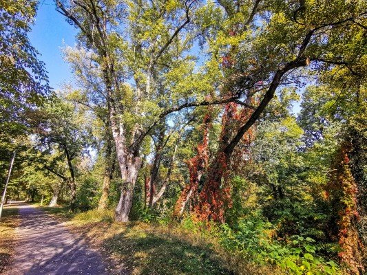 park-orfeev-dol-gallery-14