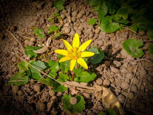 park-orfeev-dol-gallery-14
