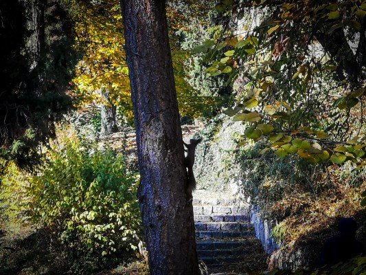park-momina-banya-gallery-16