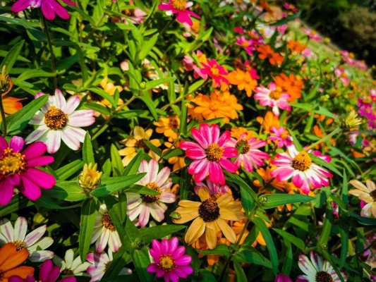 park-momina-banya-gallery-16